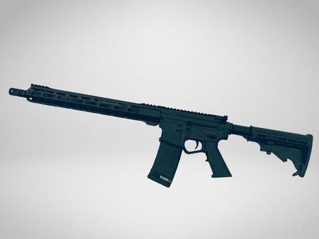 WISE ARMS B-15 5.56 RIFLE